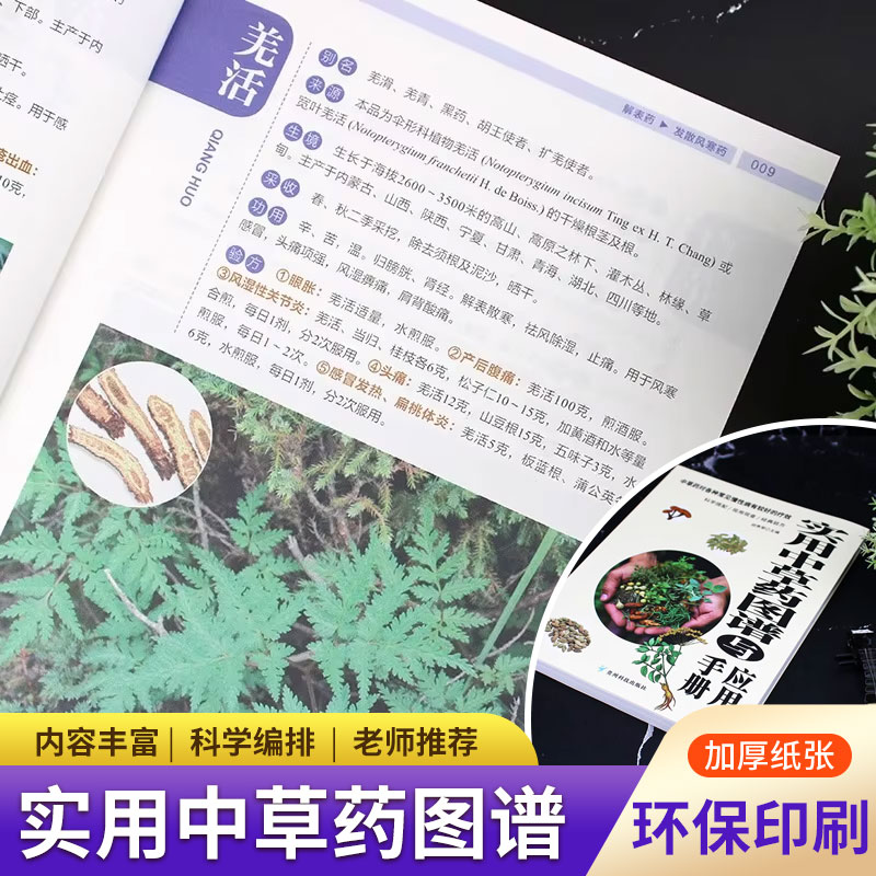 Practical Herbal Atlas & Manua - đánh giá và giá Wellness Herbal Medicine