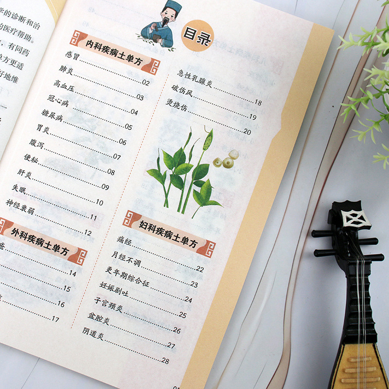 Traditional Chinese Medicine F - đánh giá và giá Wellness Herbal Medicine