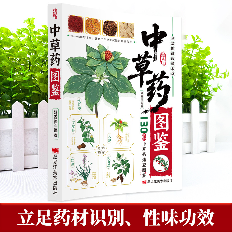 Illustrated Guide  Chinese Her - đánh giá và giá Wellness Herbal Medicine