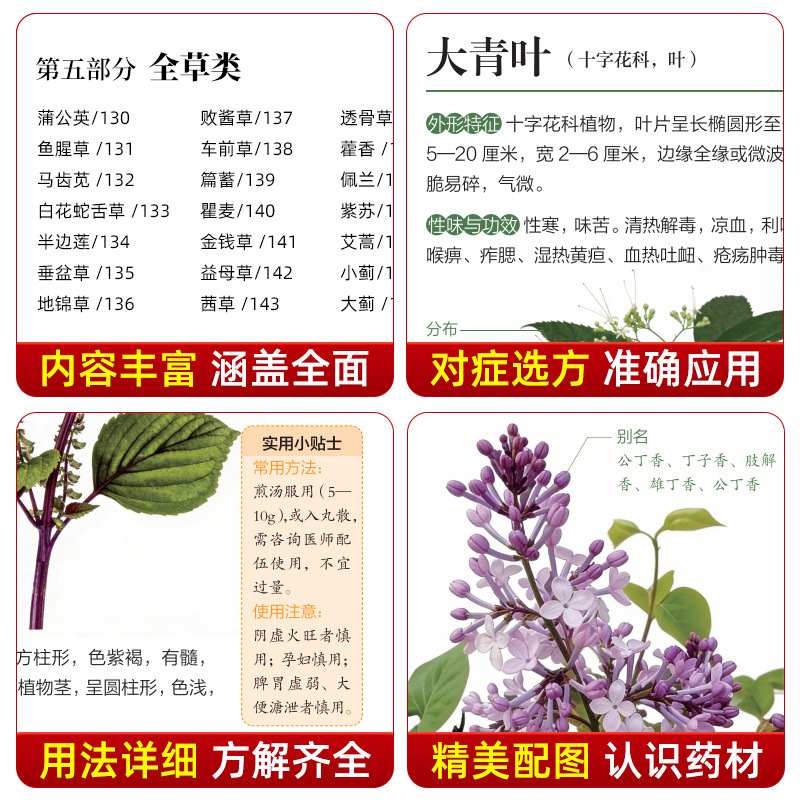 Illustrated Guide  Chinese Her - đánh giá và giá Wellness Herbal Medicine